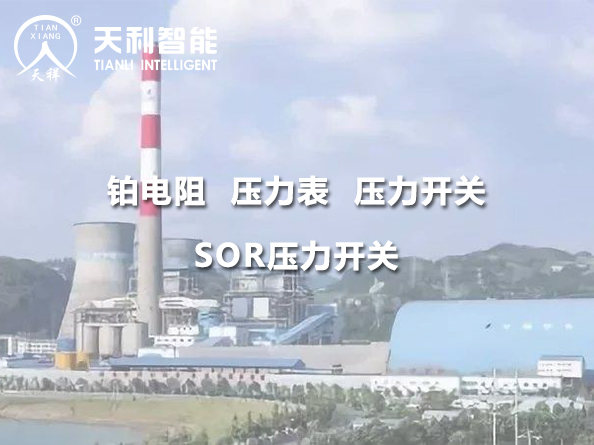 貴州華電桐梓發(fā)電有限公司2*600MW機(jī)組項(xiàng)目 服務(wù)案例