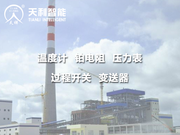 柬埔寨西哈努克3*135MW燃煤電廠工程 服務(wù)案例